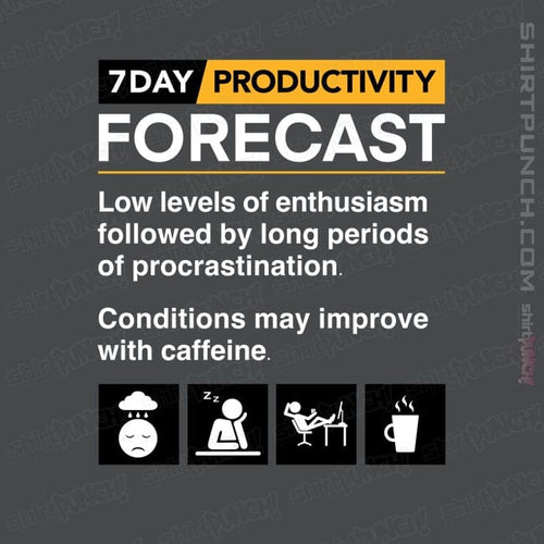 ShirtPunch Productivity Forecast