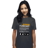 ShirtPunch Productivity Forecast, view 2