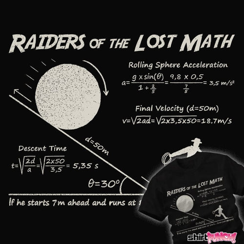 ShirtPunch Raiders Of The Lost Math