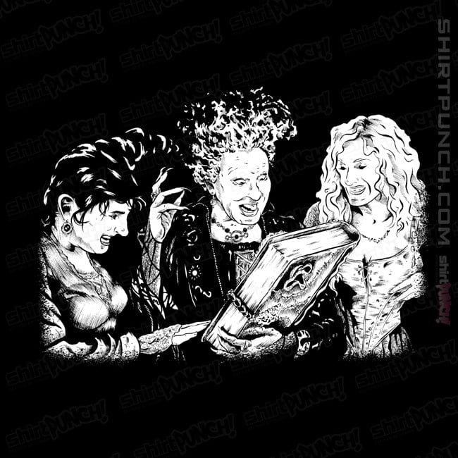 ShirtPunch Sanderson Witches