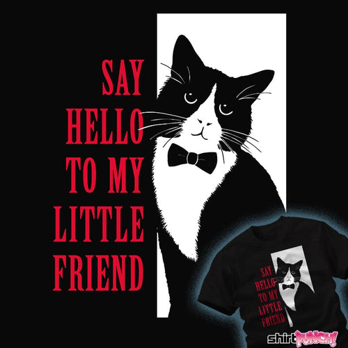 ShirtPunch Say Hello to My Little Friend