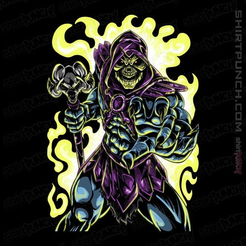 ShirtPunch Skull King of Eternia