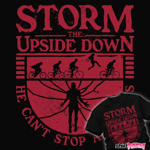 ShirtPunch Storm The Upside Down