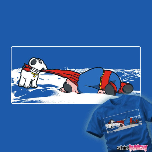 ShirtPunch Take Me Home