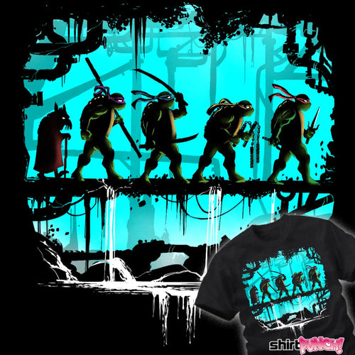 ShirtPunch The Fellowship Of The Turtles
