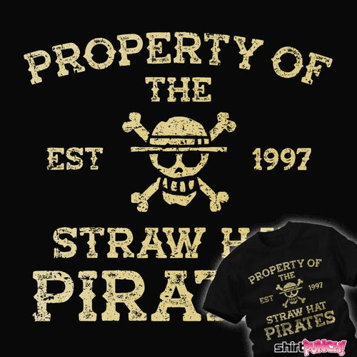 ShirtPunch The Straw Hat Pirates