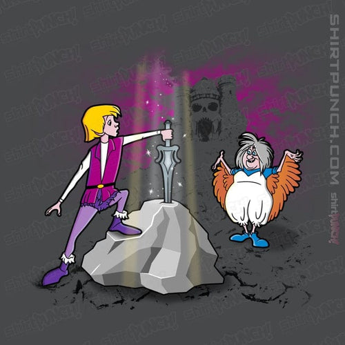 ShirtPunch The Sword In The Grayskull