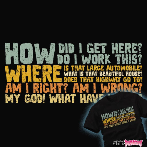 ShirtPunch Things I Ask Myself