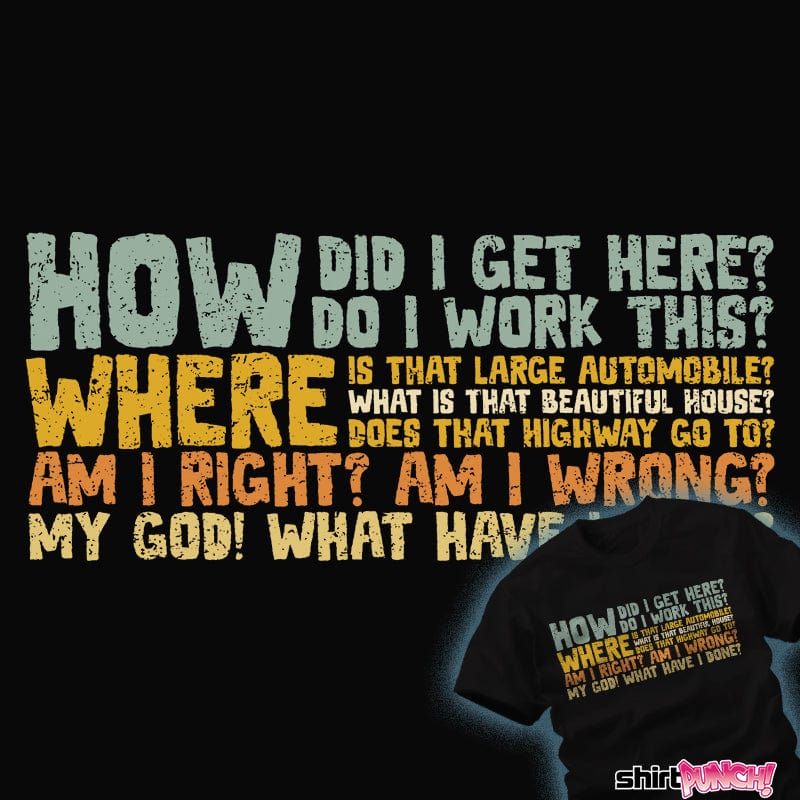 ShirtPunch Things I Ask Myself
