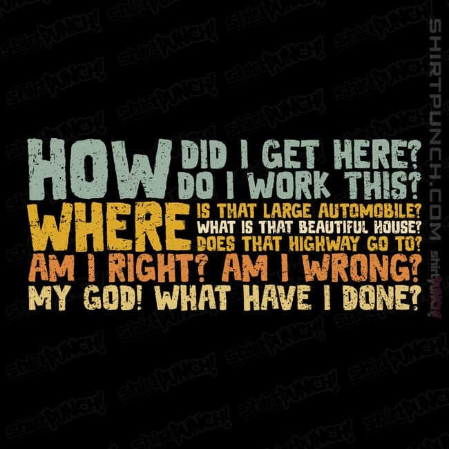 ShirtPunch Things I Ask Myself