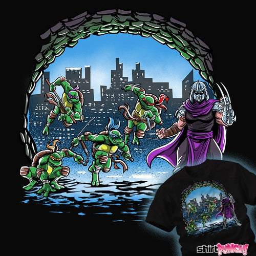 ShirtPunch Turtles Cover