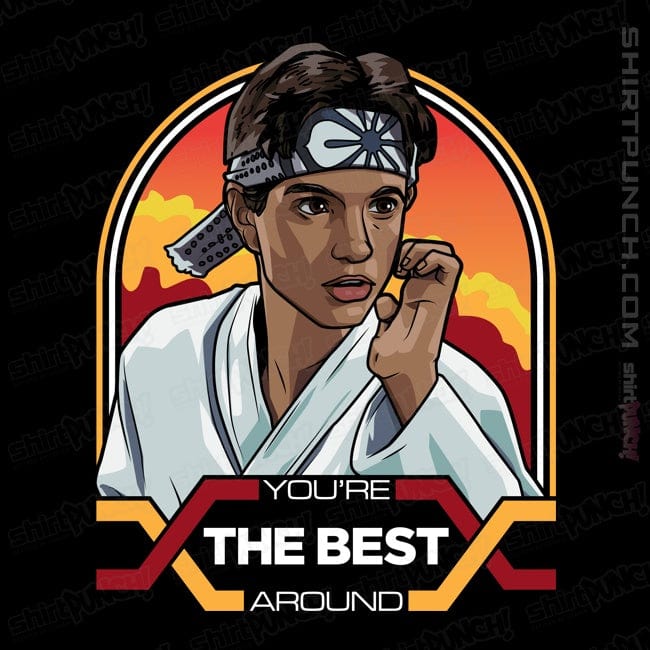 ShirtPunch You're The Best Arround