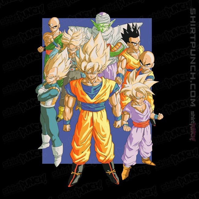 ShirtPunch Z Fighters