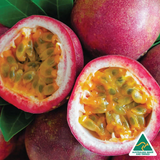 Silk Oil of Morocco - 1 Litre Duo - Orange & Grapefruit +  Passionfruit & Lychee, view 5