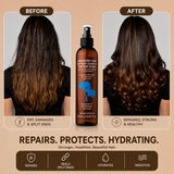 Silk Oil of Morocco Argan RepHair S&C with RepHair Protein Spray - TVSN 144240, view 3