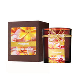 Silk Oil of Morocco x Your Beauty Dupe -In Bloom Hamper, view 4