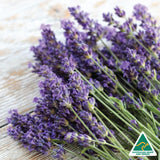 Silk Oil of Morocco - Lavender Reed Diffuser, view 2