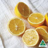 Silk Oil of Morocco - Lemon Zest Day Spa Hamper, view 2