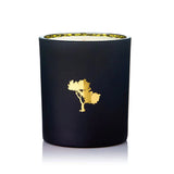 Silk Oil of Morocco - Sweet Jasmine & Magnolia Luxe Natural Soy Candle, view 4