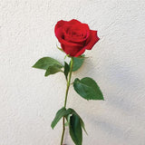 Silk Oil of Morocco - Rose Favourites Hamper Collection, view 6