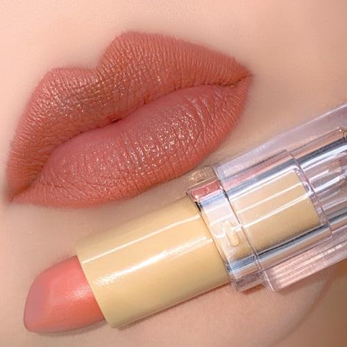 Silk Oil of Morocco Fernando Hervas - Nude 5 (Mid Tone Rosy Nude) Matte Lipstick