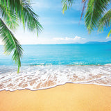 Silk Oil of Morocco - Palm Beach - Sea Spray and Coconut - Value Pack, view 2