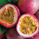 Silk Oil of Morocco - Passionfruit & Lychee Amber Natural Soy Candle, view 2