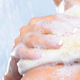 Your Beauty Dupe x Silk Oil of Morocco - She's Back Golden Argan Body Wash- Inspired by Poeme Lancome, view 5
