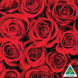 Silk Oil of Morocco - Moroccan Rose Luxe Day Spa Hamper, view 2