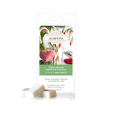 Silk Oil of Morocco - Candy Heaven Wax Melt, view 2