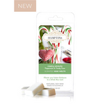 Silk Oil of Morocco - Candy Heaven Wax Melt, view 3
