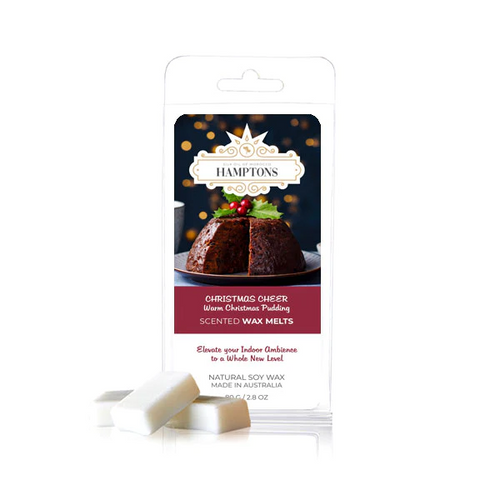 Silk Oil of Morocco - Warm Christmas Pudding Wax Melts