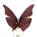 Stirlingkit 3D Mechanical Geared Walnut Wooden Butterfly Model, view 4