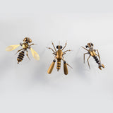 Stirlingkit 3PCS Steampunk Mini Insect Metal Model Home Decoration, view 5