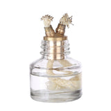 Stirlingkit Enjomor Two-cylinder Flame Licker Stirling Engine Brass Vacuum Engine Model, view 3