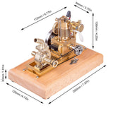 Stirlingkit M16C Air-cooled Single-cylinder 4-strokes Mini Vertical Gasoline Speed-controlled IC Engine Model with Water Vane Pump, view 5