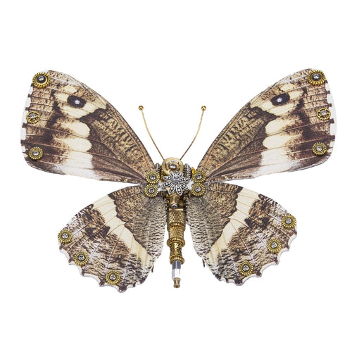 Stirlingkit Steampunk 3D Metal Diaethria Anna Caligo Eurilochus Model DIY Kits (150PCS+)