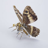 Stirlingkit Steampunk 3D Metal Diaethria Anna Caligo Eurilochus Model DIY Kits (150PCS+), view 3