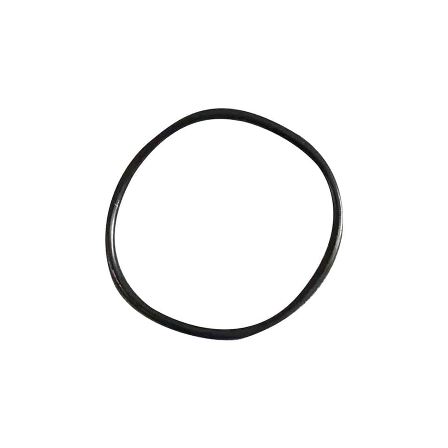 Stirlingkit Water Pump Belt for Enjomor D6 DOHC Engine
