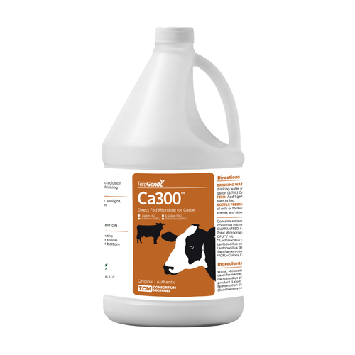 TeraGanix Ca300™ Direct Fed Microbial: Enhancing Cattle Health and Well-Being
