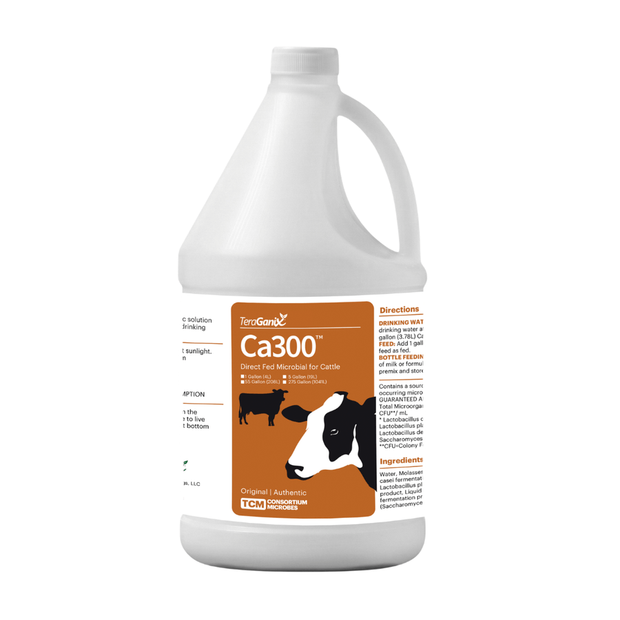 TeraGanix Ca300™ Direct Fed Microbial: Enhancing Cattle Health and Well-Being