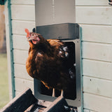 TeraGanix Farmight Automatic Chicken Coop Door, Aluminum, view 6
