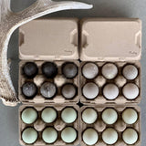 TeraGanix Henlay Duck Egg Cartons - Holds Half Dozen Jumbo Eggs- Blank Flat Top, 2 colors, 20 or 100, view 3