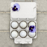 TeraGanix Henlay Duck Egg Cartons - Holds Half Dozen Jumbo Eggs- Blank Flat Top, 2 colors, 20 or 100, view 5