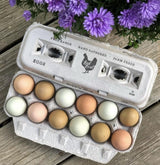 TeraGanix Henlay Laid Local Egg Cartons- Adorable Printed Vintage Design- 25, 90, or 250, view 4