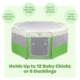 TeraGanix My Pet Chicken Hen Pen Pop-Up Brooder, view 3
