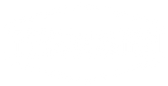TerraMaster logo
