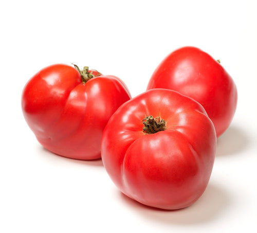 The Living Seed Company Andy's Polish Pink Tomato Seeds - Lycopersicon lycopersicum