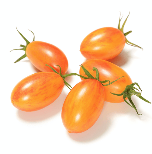 The Living Seed Company Organic Blush Tomato  Seeds - Lycopersicum lycopersicum