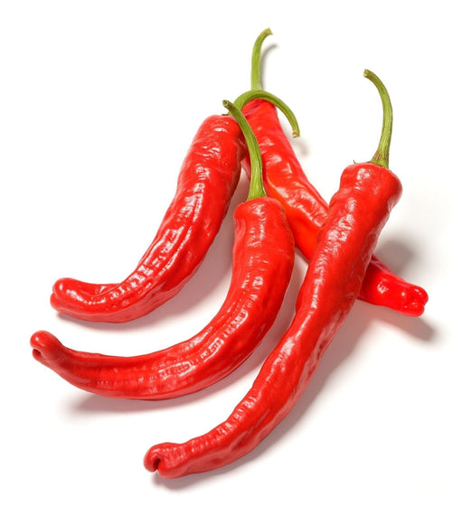 The Living Seed Company Carolina Cayenne Hot Pepper Seeds - Capsicum annuum